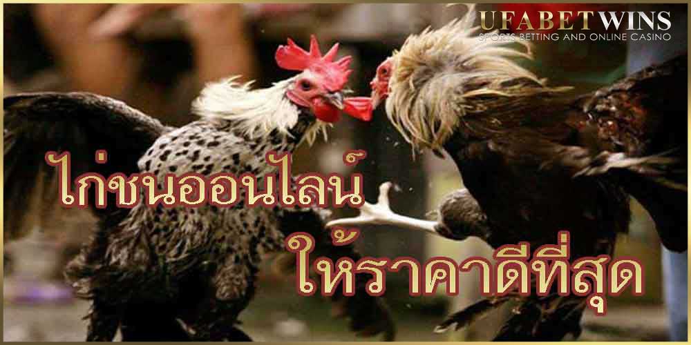 เว็บไก่ชนใหราคาดีที่สุด